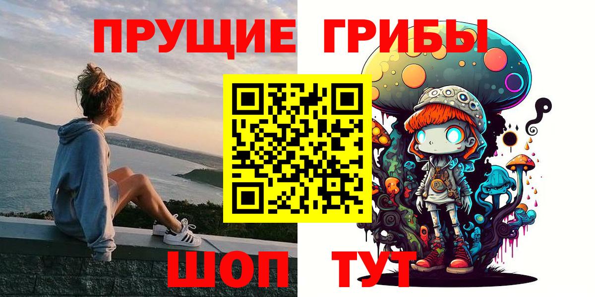 Галлюциногенные грибы Psilocybe  Вход с VPN  Ишимбай 